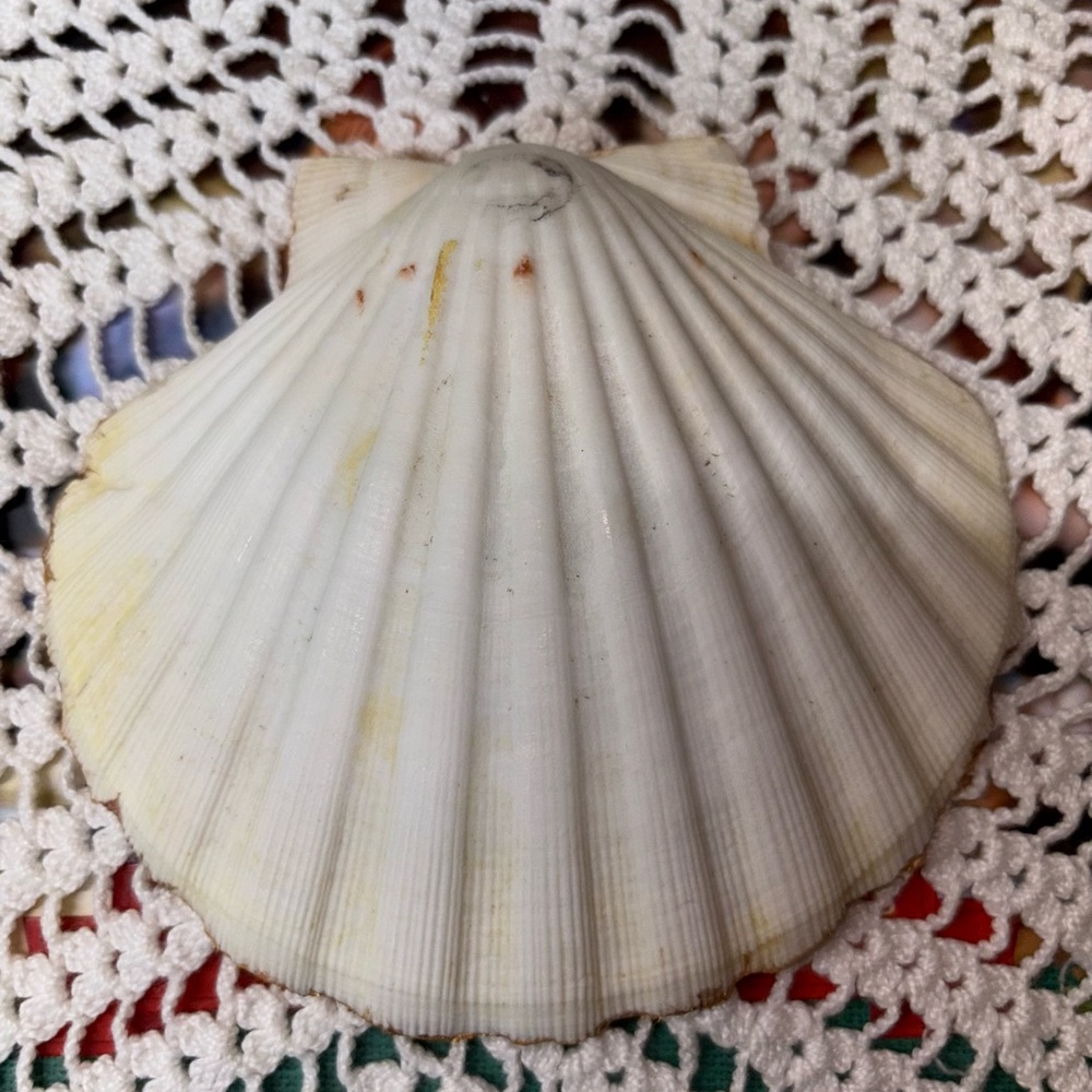 Hand crafted Decoupage Shell. - Picture 11 of 11